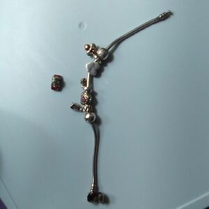 Pandora Silver and Gold Charm Bracelet